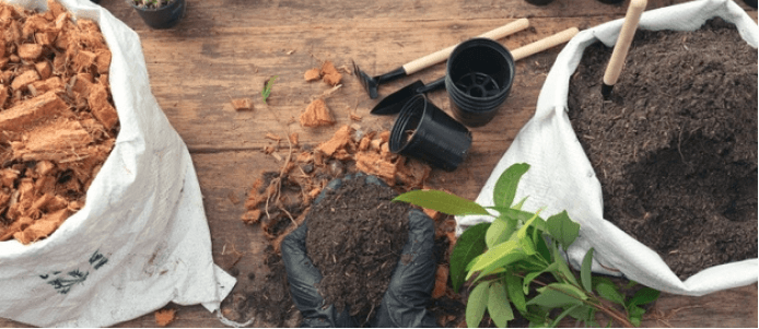 proveedores criticos