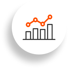 portafolio segmentos