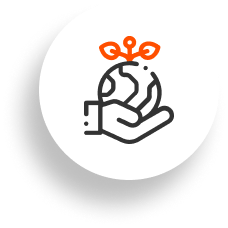 portafolio segmentos