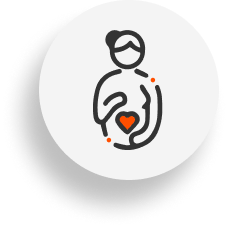 portafolio segmentos