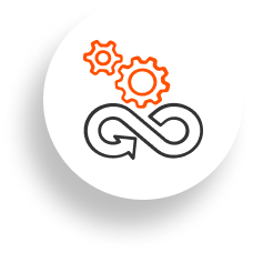 portafolio segmentos