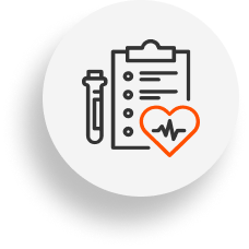 portafolio segmentos