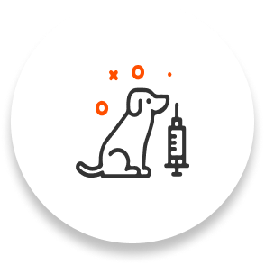 Campaña antirrábica y esterilización canina y felina.