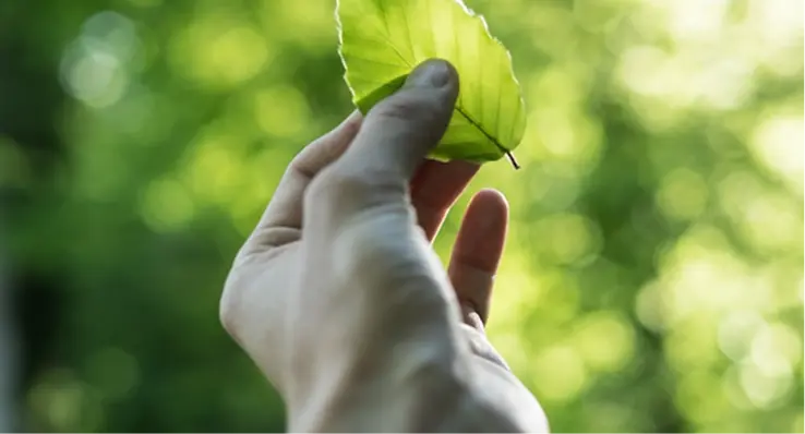 Dirección de Sostenibilidad