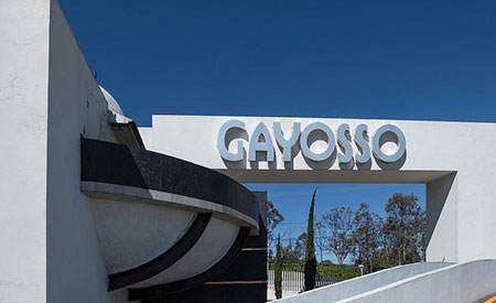 Gayosso Lomas