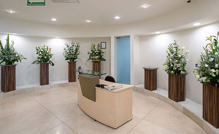 Thumbnail Gayosso Lomas 1