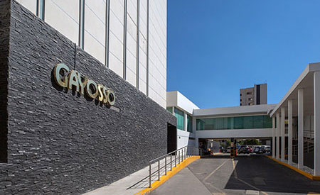 Thumbnail Gayosso Felix Cuevas 3