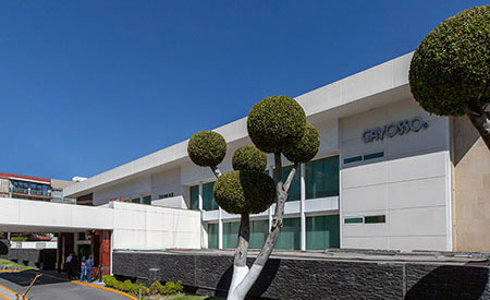 Thumbnail Gayosso Felix Cuevas 4