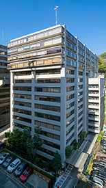 Thumbnail Torre Duraznos 1